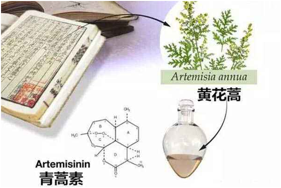 九游官方（中国）总部,：向中医药看齐，与世界共享中医药文化(图1)