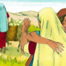 Musings From The Book Of Ruth